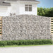 Schanskorven 2 St Gewelfd 400X50X220/240 Cm Ijzer 400 x 50 x 220/240 cm