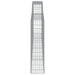 Schanskorven 2 St Gewelfd 400X30X120/140 Cm Ijzer 400 x 30 x 120/140 cm