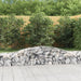 Schanskorven 6 St Gewelfd 400X50X40/60 Cm Ijzer 400 x 50 x 40/60 cm
