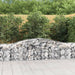 Schanskorven 8 St Gewelfd 400X50X60/80 Cm Gegalvaniseerd Ijzer 400 x 50 x 60/80 cm