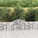 Schanskorf Gewelfd 200X30X60/80 Cm Gegalvaniseerd Ijzer 1 200 x 30 x 60/80 cm