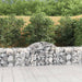 Schanskorf Gewelfd 200X50X60/80 Cm Gegalvaniseerd Ijzer 1 200 x 50 x 60/80 cm
