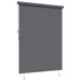 Rolgordijn Antracietkleurig 200 x 250 cm Stof en Aluminium