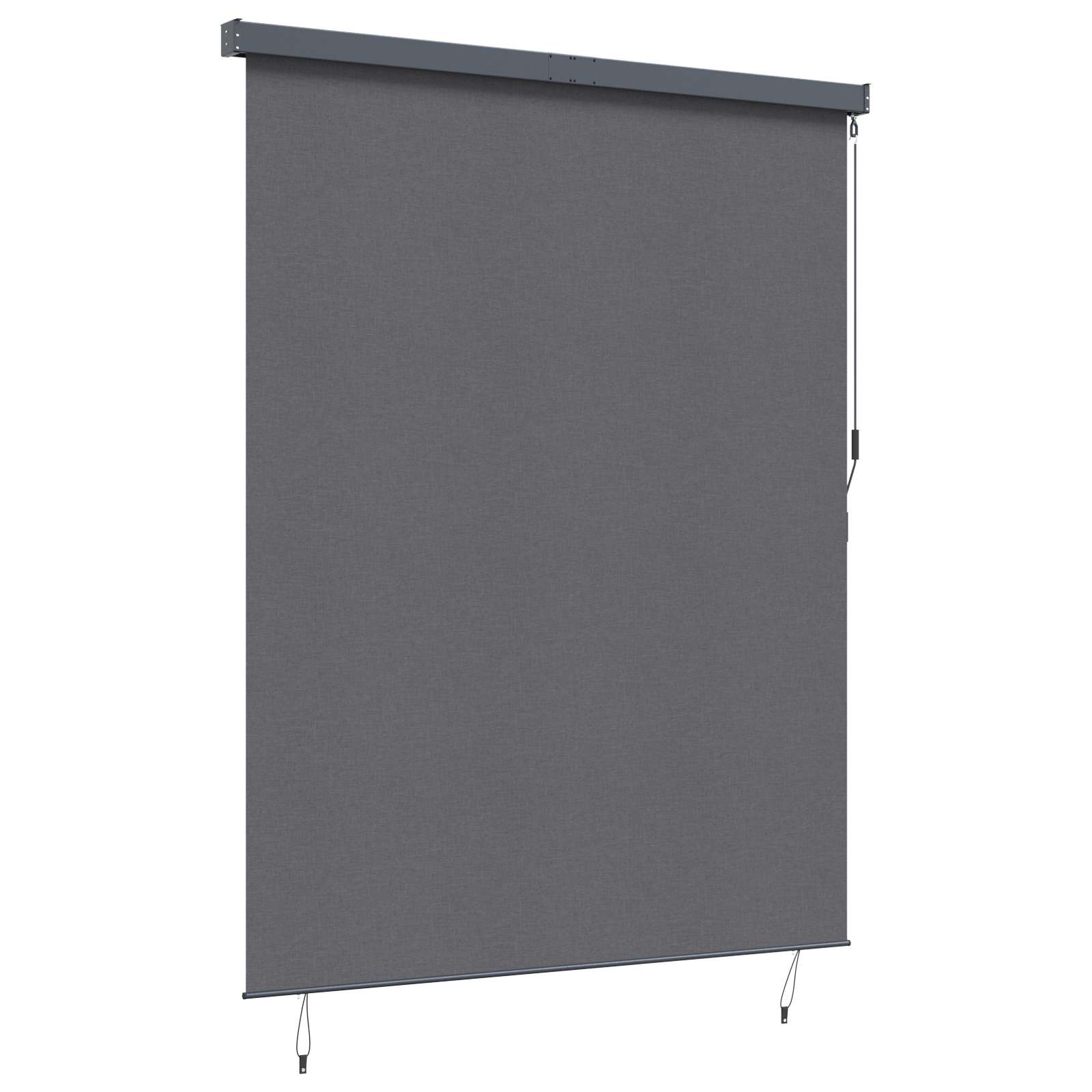 Rolgordijn Antracietkleurig 220 x 250 cm Stof en Aluminium