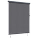 Rolgordijn Antracietkleurig 220 x 250 cm Stof en Aluminium
