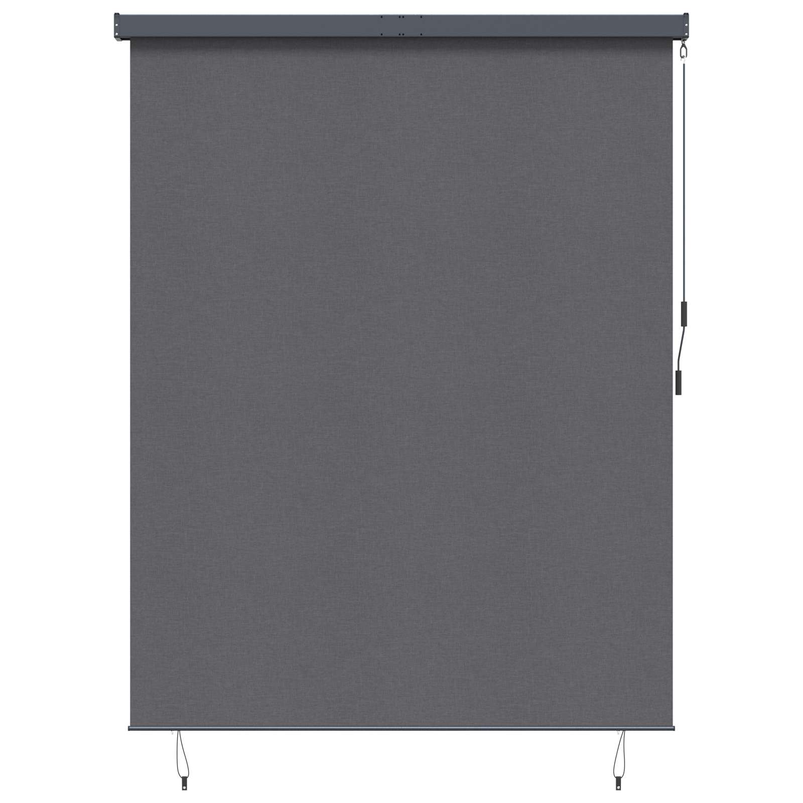 Rolgordijn Antracietkleurig 220 x 250 cm Stof en Aluminium