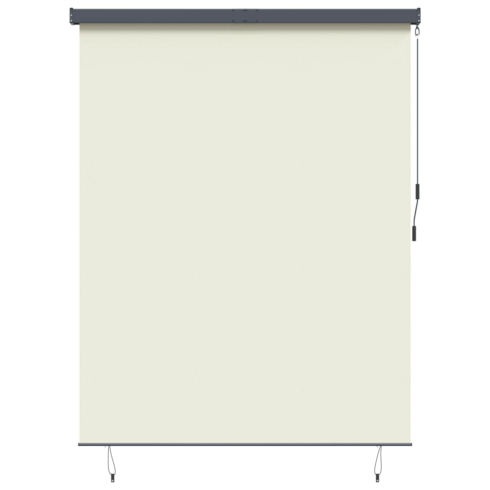 Rolgordijn Crèmekleurig 220 x 250 cm Stof en Aluminium