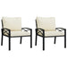 Tuinstoelen Met Zandkleurige Kussens 2 St 68X76X79 Cm Staal