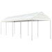 Prieel met dak 8,92x2,28x2,69 m polyetheen wit