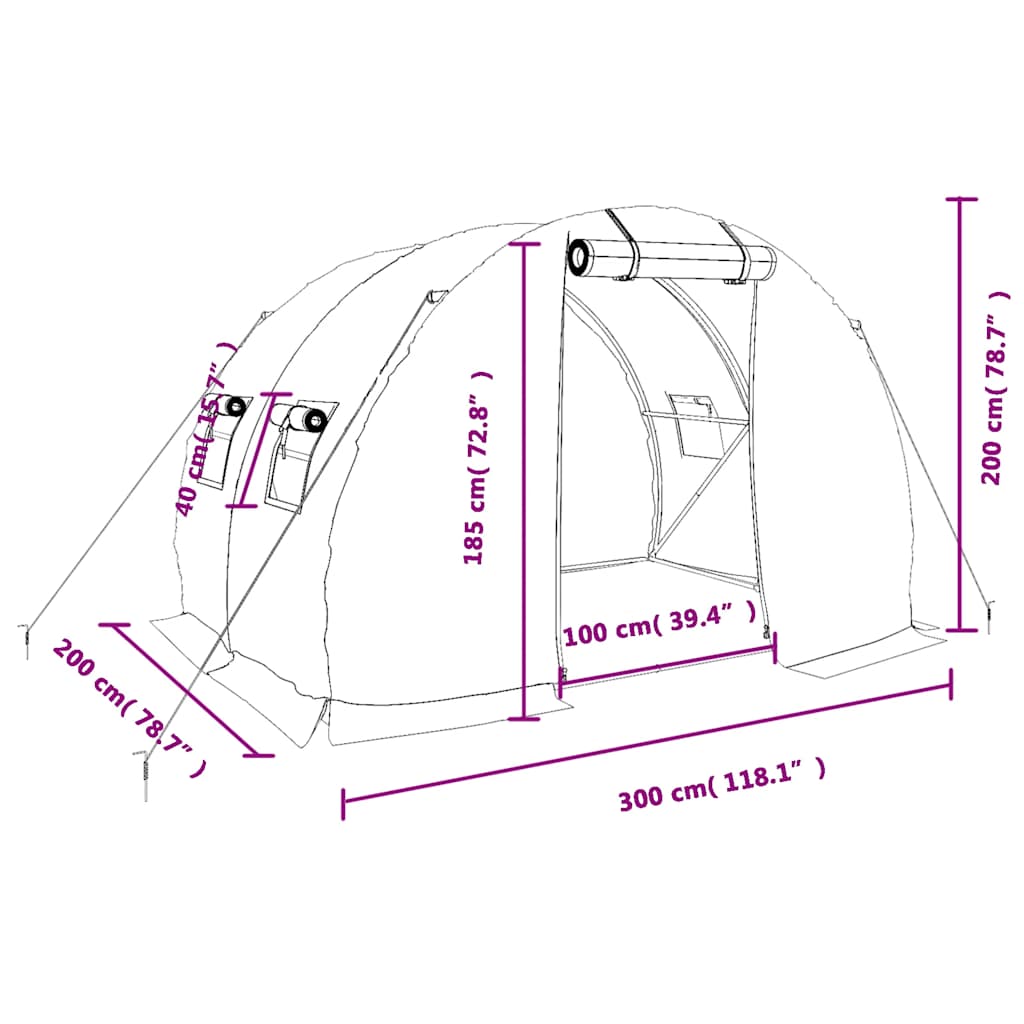 Tuinkas met stalen frame 6 m² 3x2x2 m