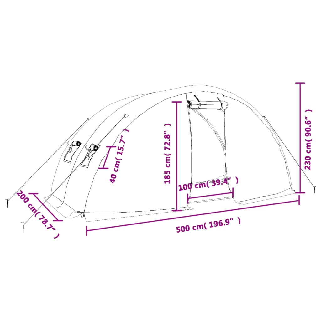 Tuinkas met stalen frame 10 m² 5x2x2,3 m