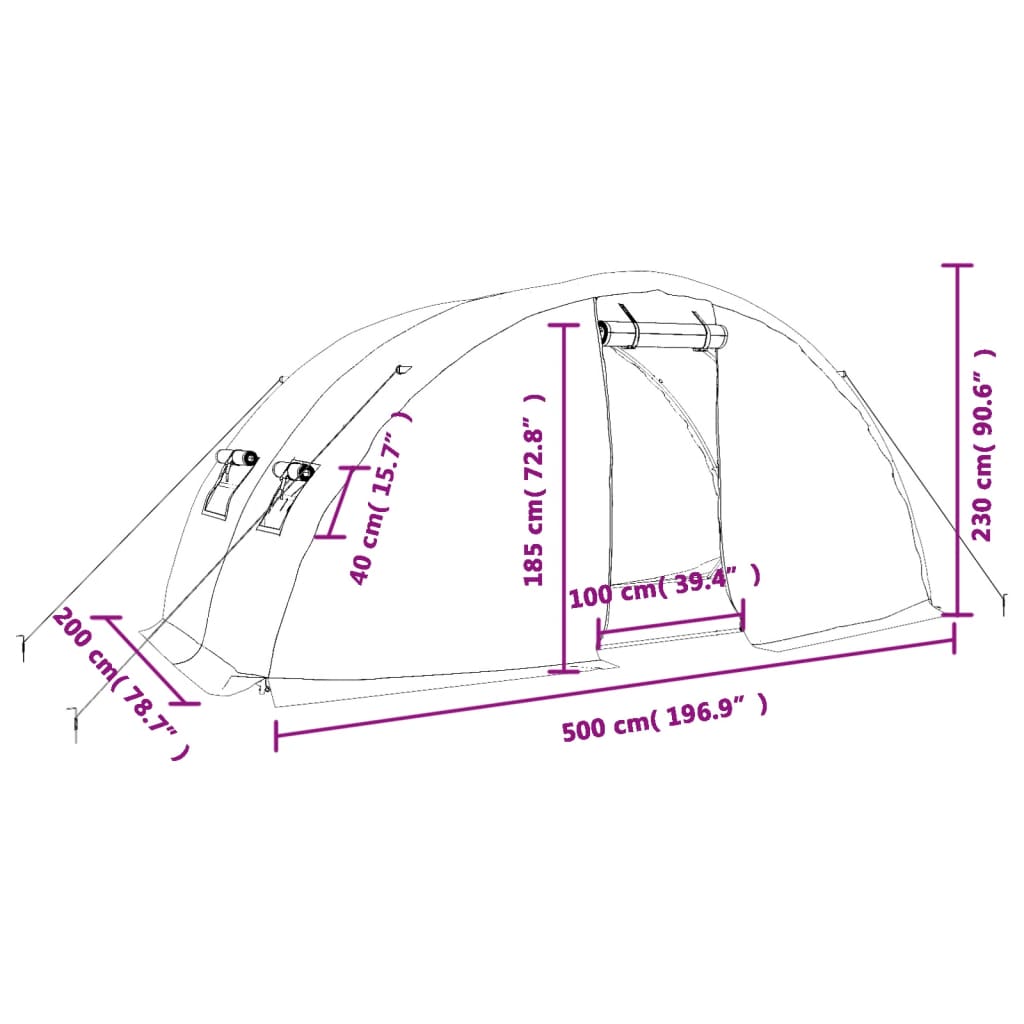 Tuinkas met stalen frame 10 m² 5x2x2,3 m