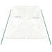 Tuinkas met stalen frame 10 m² 5x2x2,3 m