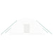 Tuinkas met stalen frame 12 m² 6x2x2,85 m