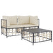 3-delige Loungeset met kussens poly rattan antracietkleurig