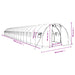 Tuinkas met stalen frame 60 m² 20x3x2 m groen