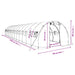 Tuinkas met stalen frame 42 m² 14x3x2 m wit
