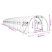 Tuinkas met stalen frame 54 m² 18x3x2 m wit
