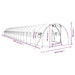 Tuinkas met stalen frame 60 m² 20x3x2 m wit