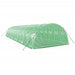 Tuinkas met stalen frame 48 m² 12x4x2 m groen