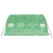 Tuinkas met stalen frame 20 m² 5x4x2,3 m groen