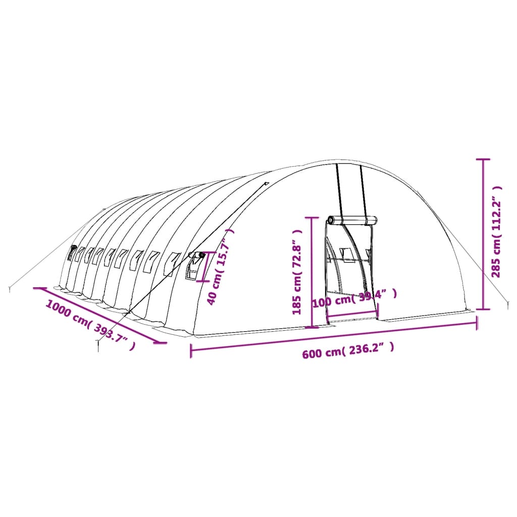 Tuinkas met stalen frame 60 m² 10x6x2,85 m wit