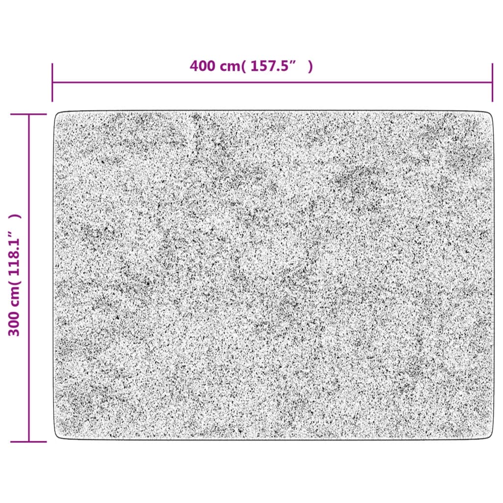 Vloerkleed wasbaar 400x300 cm meerkleurig