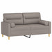 Tweezitsbank met sierkussens 140 cm stof taupe