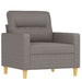 3-delige Loungeset met kussens stof taupe
