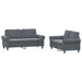 2-delige Loungeset met kussens fluweel donkergrijs
