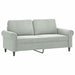 2-delige Loungeset met kussens fluweel lichtgrijs