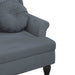 Bank met kussens donkergrijs 120,5x65x75 cm fluweel