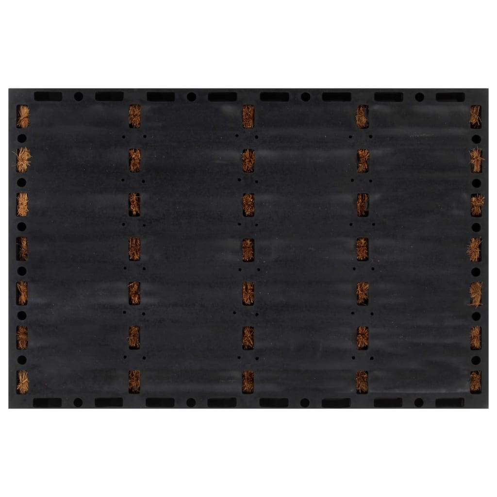 Deurmat rechthoekig 40x60 cm rubber en kokosvezel