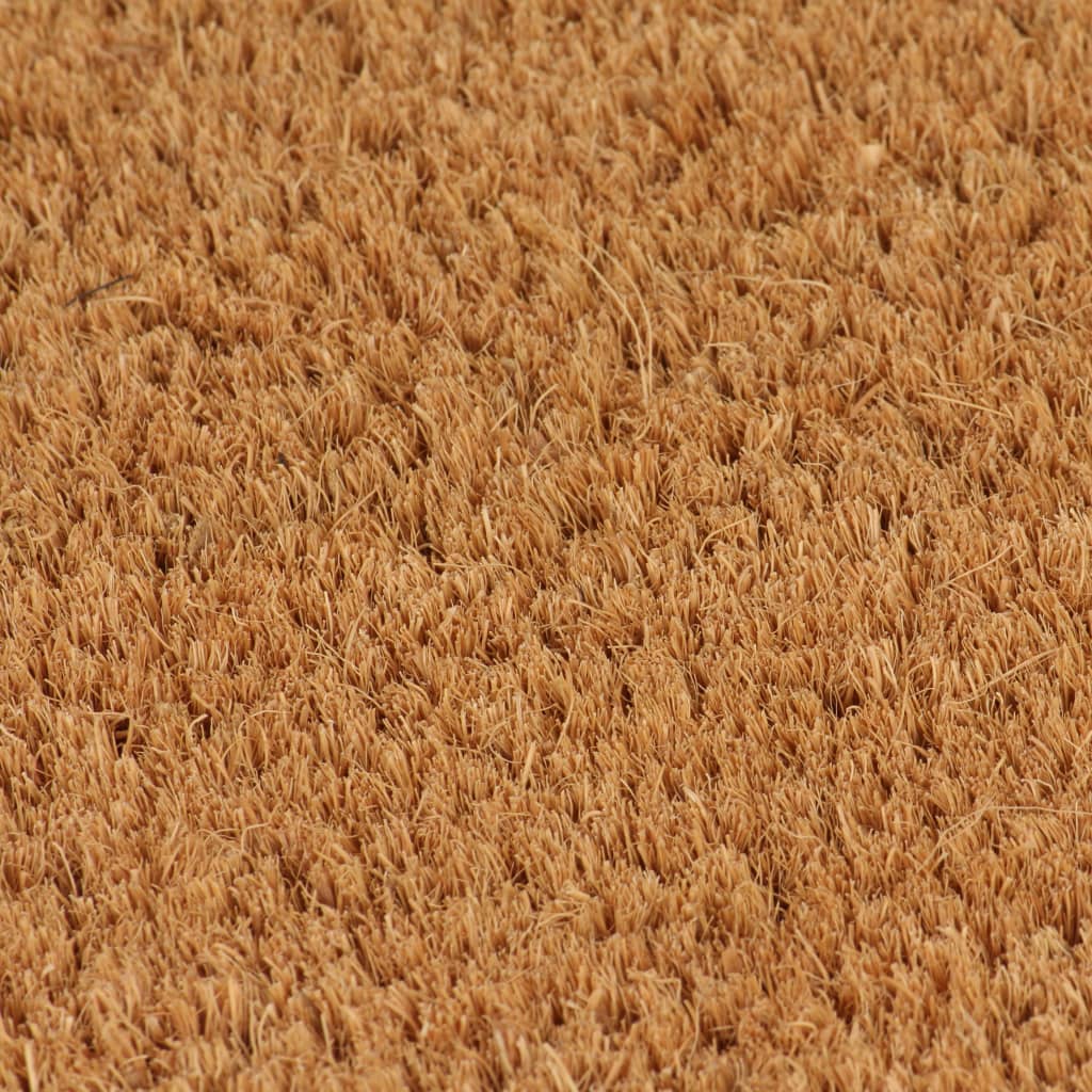 Deurmat 50x80 cm getufte kokosvezel naturel