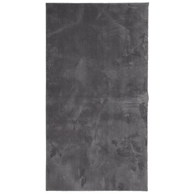 Vloerkleed HUARTE laagpolig zacht wasbaar 60x110 cm antraciet