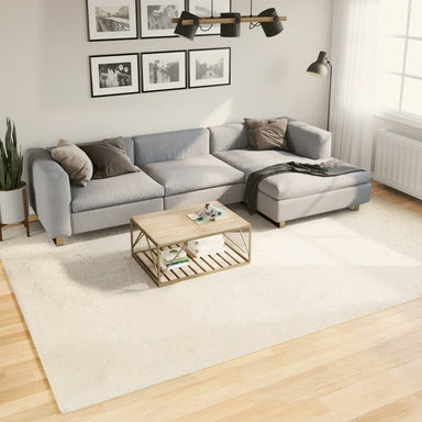 Vloerkleed OVIEDO laagpolig 240x340 cm beige