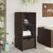 Tuinkast 50x55x115 cm poly rattan bruin