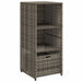 Tuinkast 50x55x115 cm poly rattan grijs