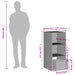 Tuinkast 50x55x115 cm poly rattan grijs