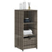 Tuinkast 50x55x115 cm poly rattan grijs
