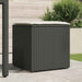 Kussenbox met opslag Zwart 50 x 50 x 50 cm poly rattan