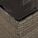 Kussenbox met opslag Grijs 50 x 50 x 50 cm poly rattan