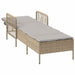 Ligstoel Beige en Licht Grijs 200 x 55 x 92 cm poly rattan