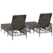 Ligstoel 3 st poly rattan Grijs en Donkergrijs