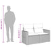 Tuinbank 2-zits met kussens poly rattan beige