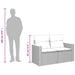 Tuinbank 2-zits met kussens poly rattan beige