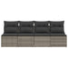 Tuinbank 4-zits met kussens poly rattan grijs