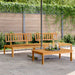 Tuinmiddenbanken 2 st pallet massief acaciahout