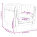 Fauteuil fluweel roze