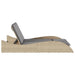 Ligbed met kussens 114x205x73 cm poly rattan beige